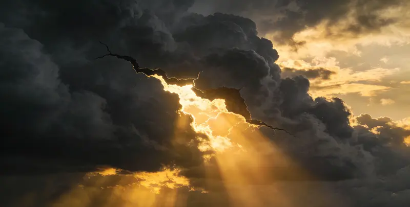 陇南肺癌11基因检测组织版图片1