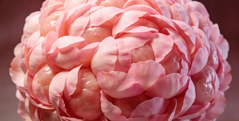 陇南BRCA1/2乳腺癌卵巢癌基因检测图片1