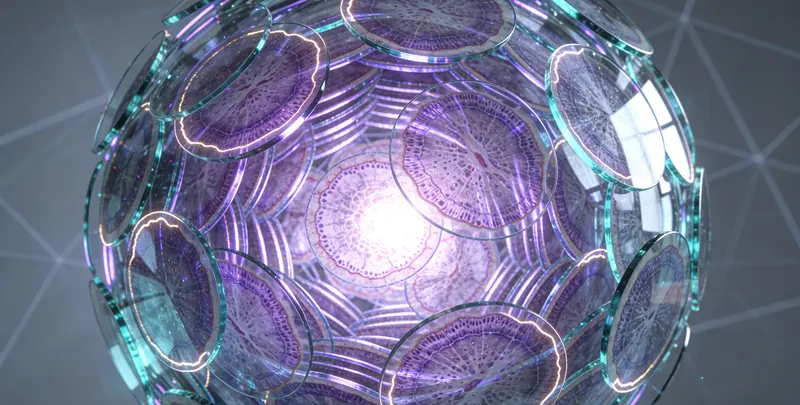 实体肿瘤细胞检测图4