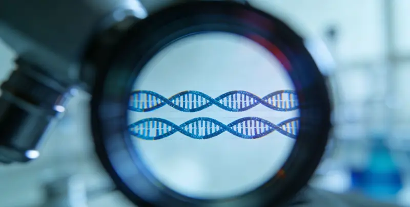 公证亲子鉴定图3