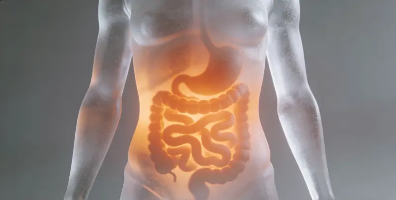 陇南胃癌全面用药基因检测（组织）图片1